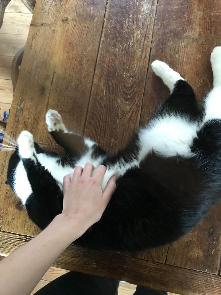 Andrea Wold Johansen 005