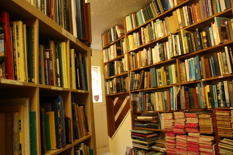 Andrea Wold Johansen, B1