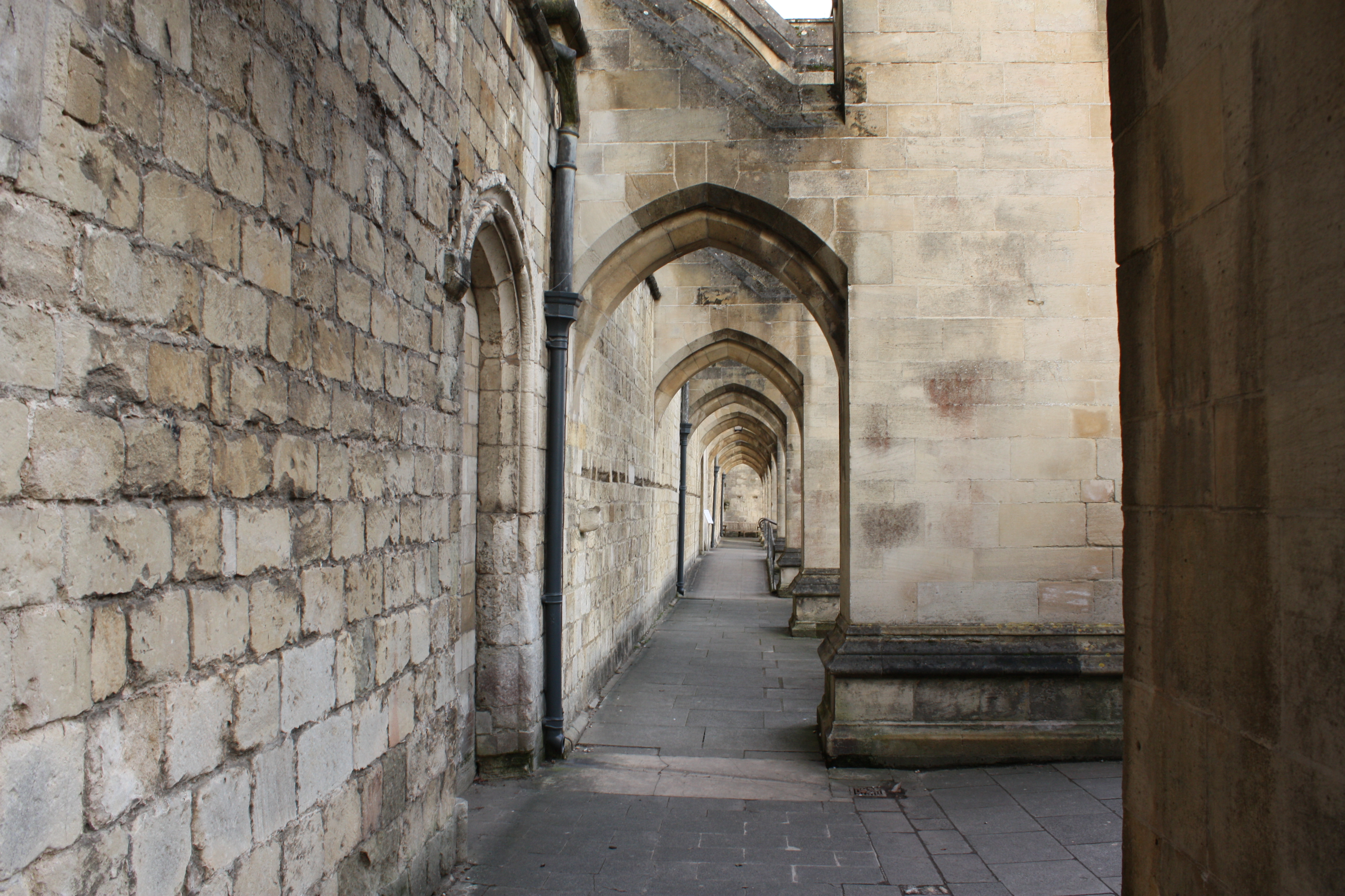 Andrea Wold Johansen, C1