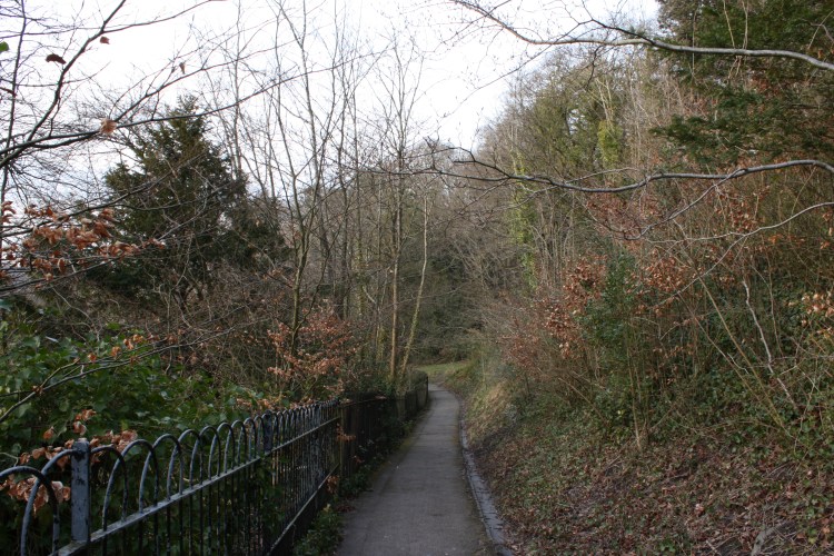 Andrea Wold Johansen, G1