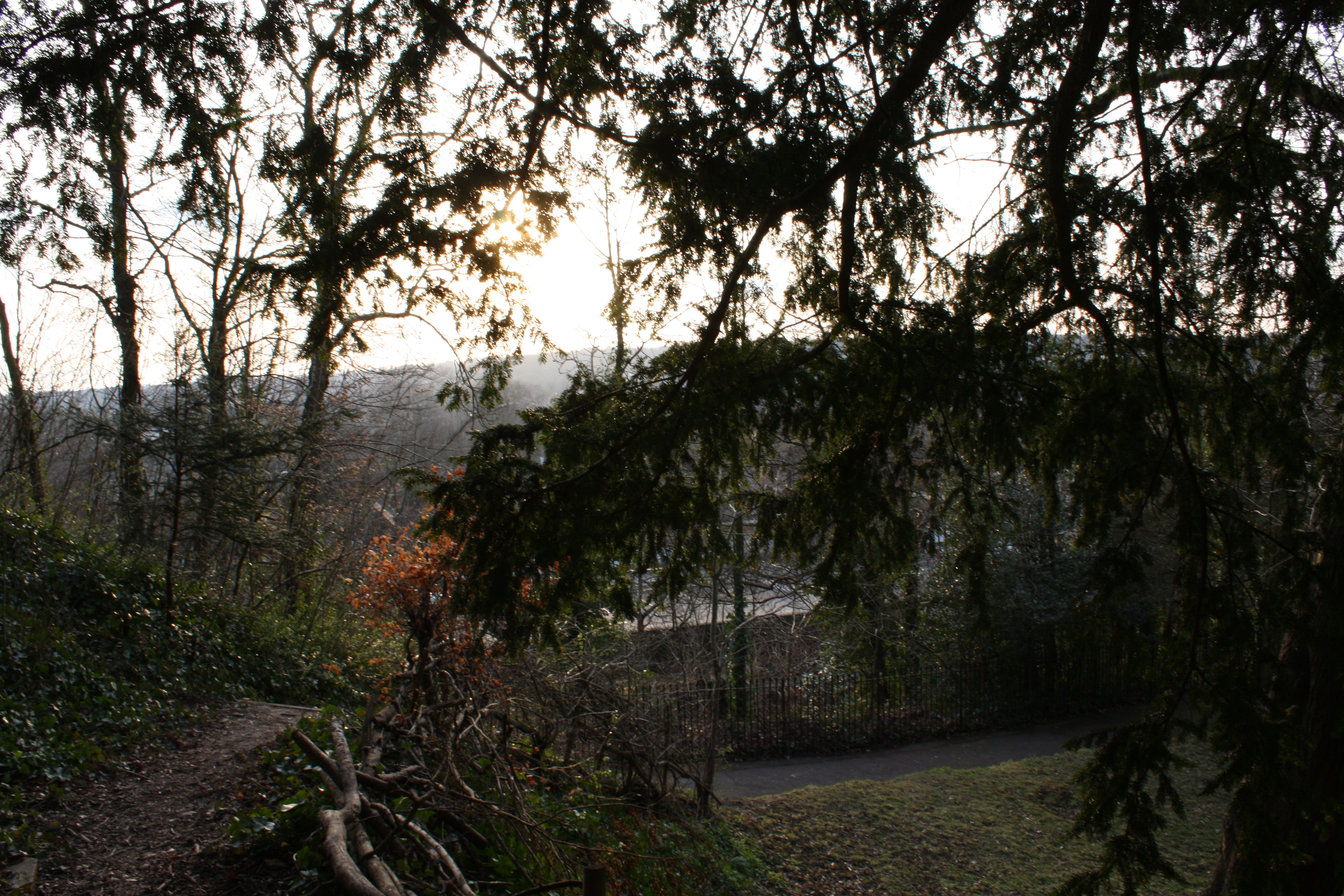 Andrea Wold Johansen, G2