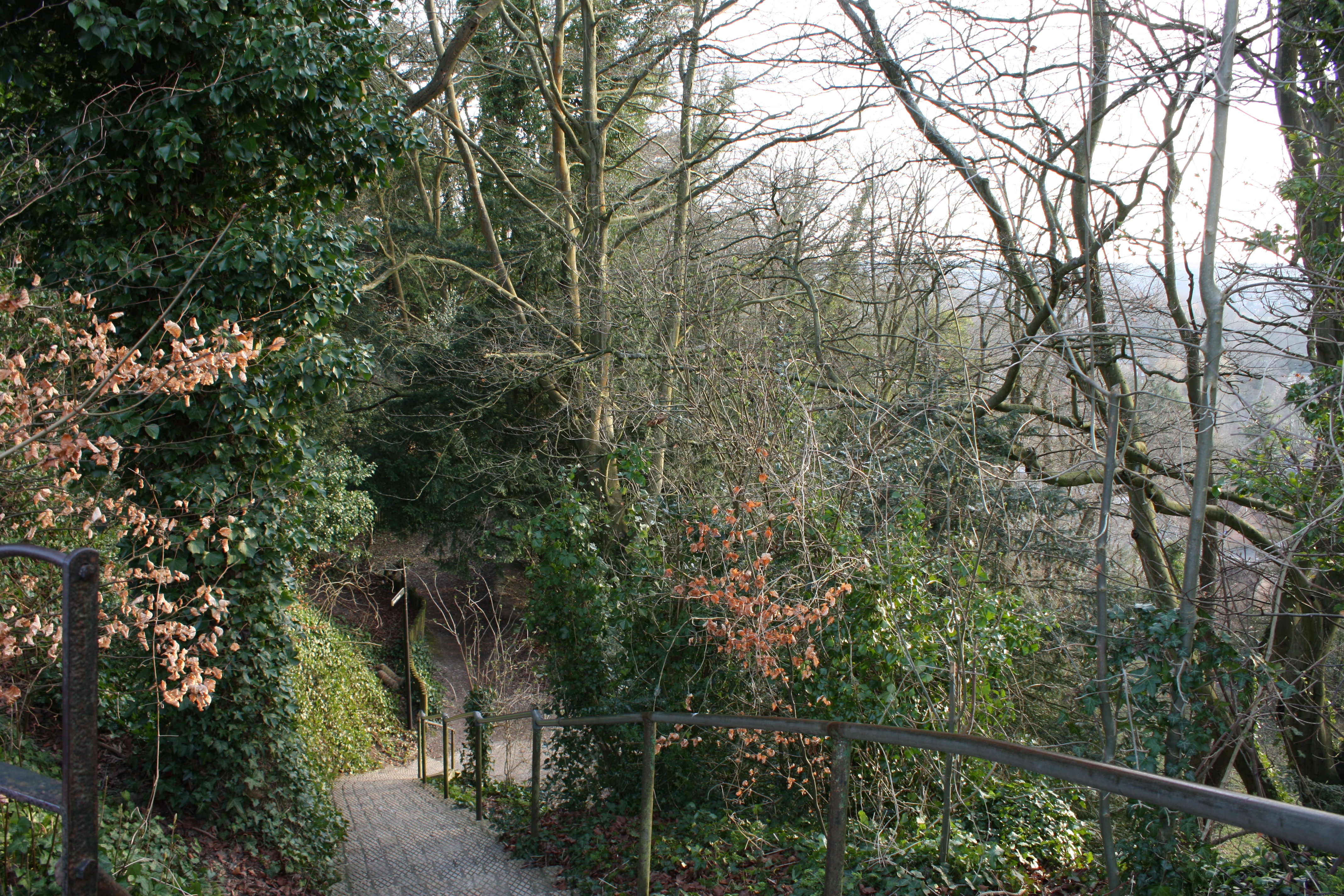 Andrea Wold Johansen, G3