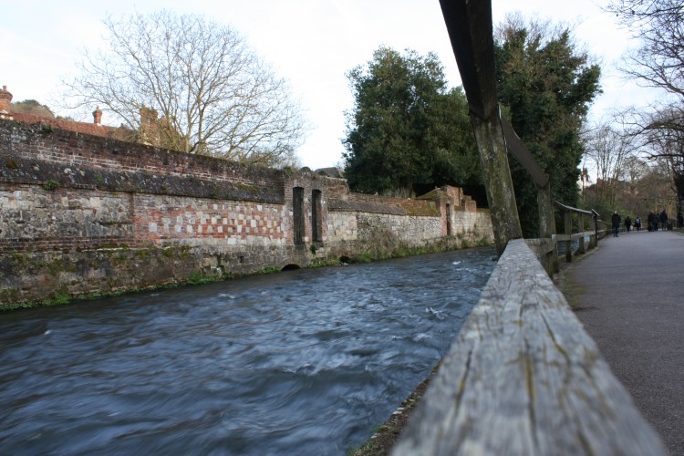 Andrea Wold Johansen, I1