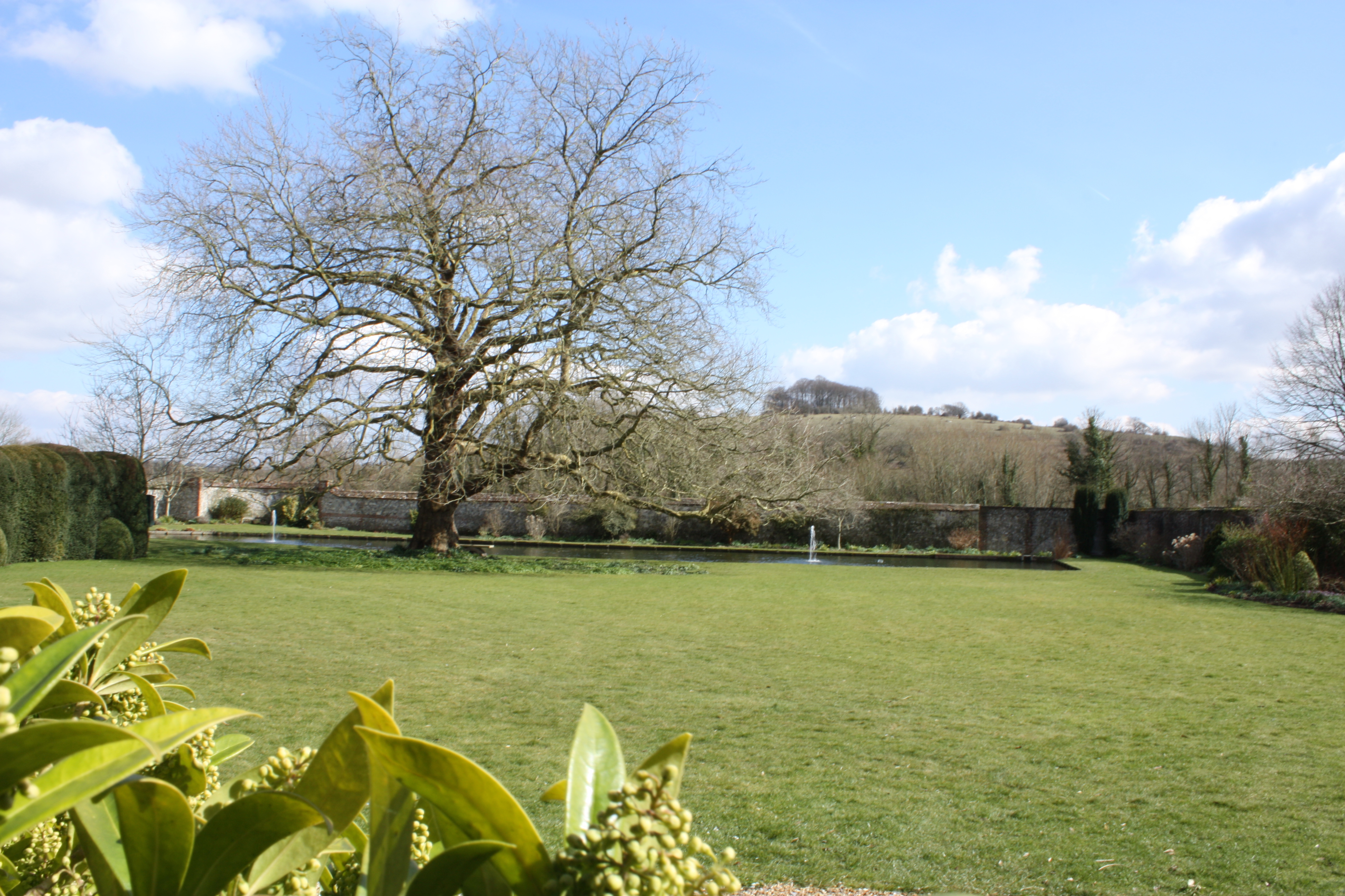 Andrea Wold Johansen, S4