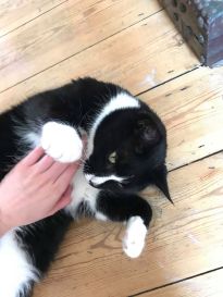 Andrea Wold Johansen, Rocky 004